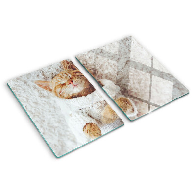 Glass kitchen board Cute kitty in a sweater