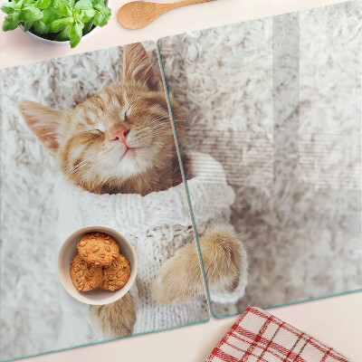 Glass kitchen board Cute kitty in a sweater