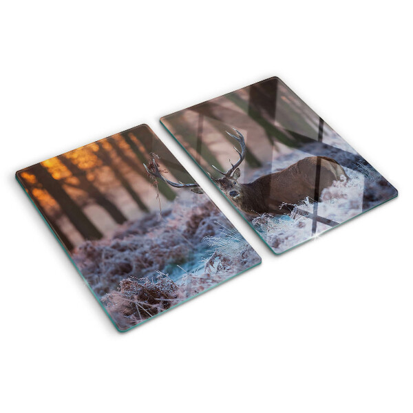 Chopping board glass Deer in the winter forest