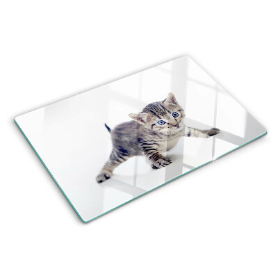 Chopping board Kitten with blue eyes
