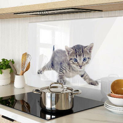 Chopping board Kitten with blue eyes