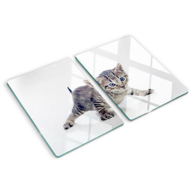 Chopping board Kitten with blue eyes