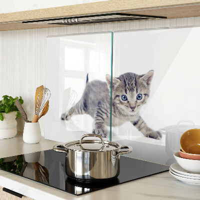 Chopping board Kitten with blue eyes