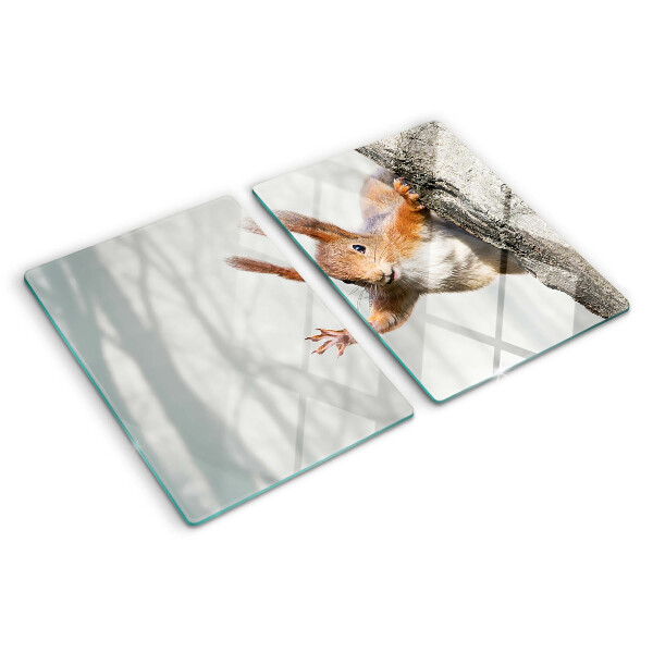 Cutting board Squirrel on a branch