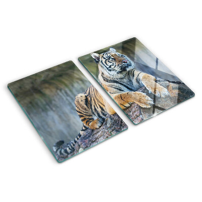 Glass chopping board Tiger on a tree trunk