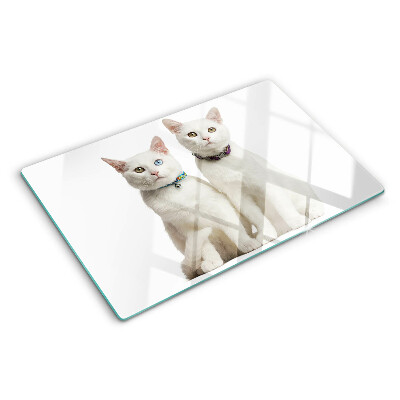 Glass cutting board White cats with different colored eyes