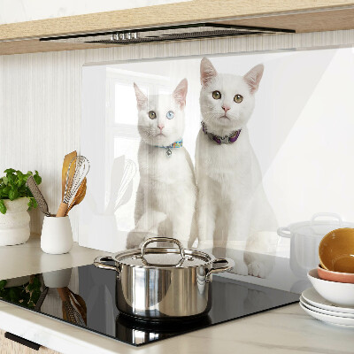 Glass cutting board White cats with different colored eyes