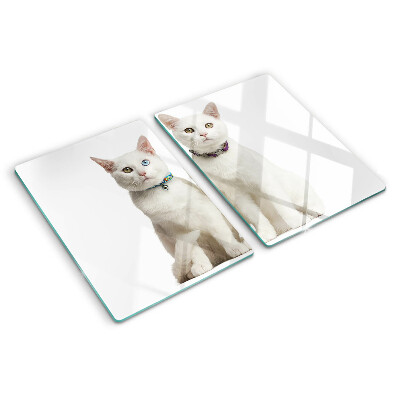 Glass cutting board White cats with different colored eyes