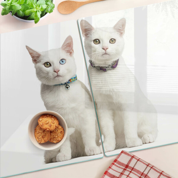 Glass cutting board White cats with different colored eyes