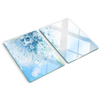 Glass cutting board Dandelion flower with water drops