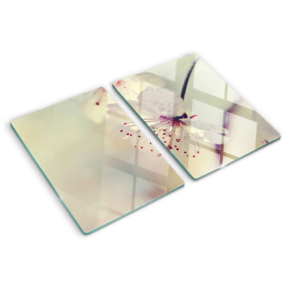 Glass kitchen board Flowers on a geometric background