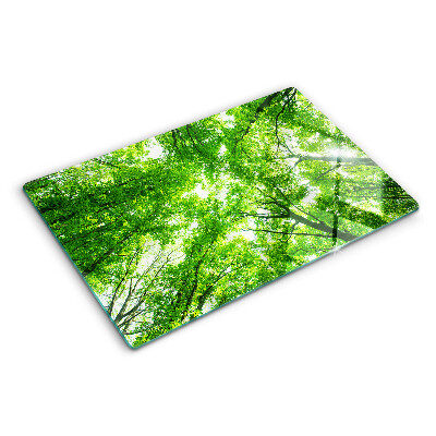 Chopping board glass Forests and green trees