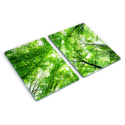 Chopping board glass Forests and green trees