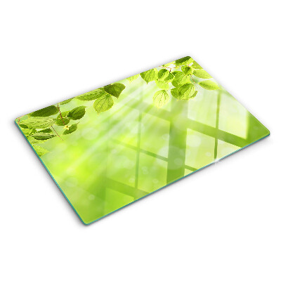 Glass chopping board Green leaves against the light
