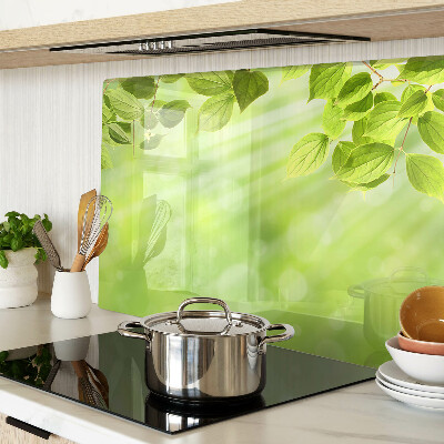 Glass chopping board Green leaves against the light