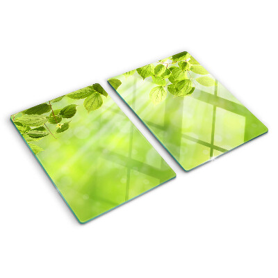 Glass chopping board Green leaves against the light