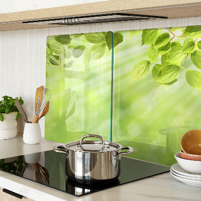 Glass chopping board Green leaves against the light