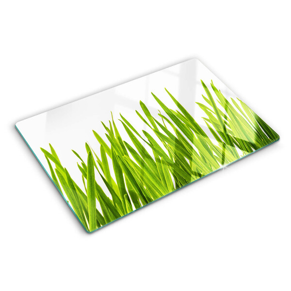 Glass kitchen board Green grass