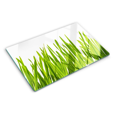 Glass kitchen board Green grass