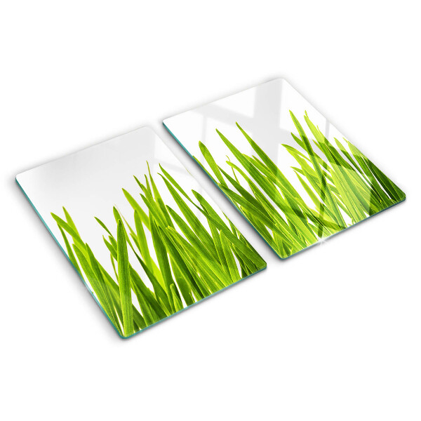 Glass kitchen board Green grass