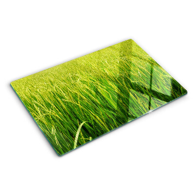 Chopping board Green field of grass