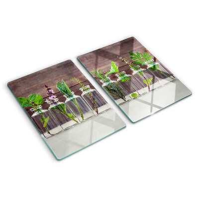 Glass cutting board Plants in bottles