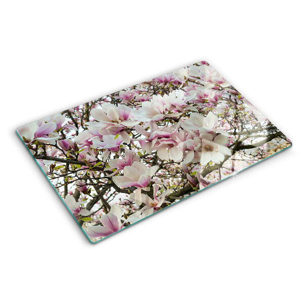 Glass kitchen board Magnolia flowers