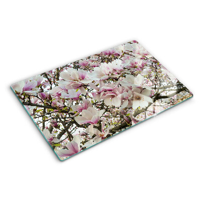 Glass kitchen board Magnolia flowers