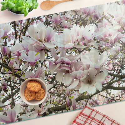 Glass kitchen board Magnolia flowers