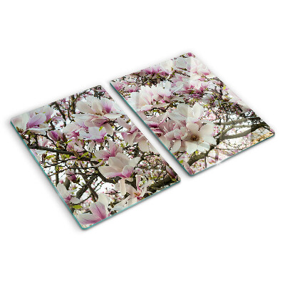 Glass kitchen board Magnolia flowers
