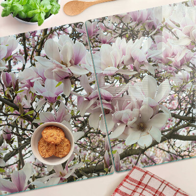 Glass kitchen board Magnolia flowers