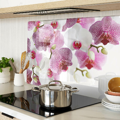 Chopping board glass Orchids in the background of the window