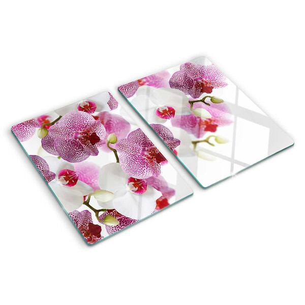 Chopping board glass Orchids in the background of the window