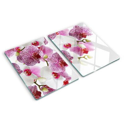 Chopping board glass Orchids in the background of the window
