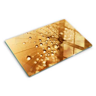 Glass cutting board Water drops on a dandelion