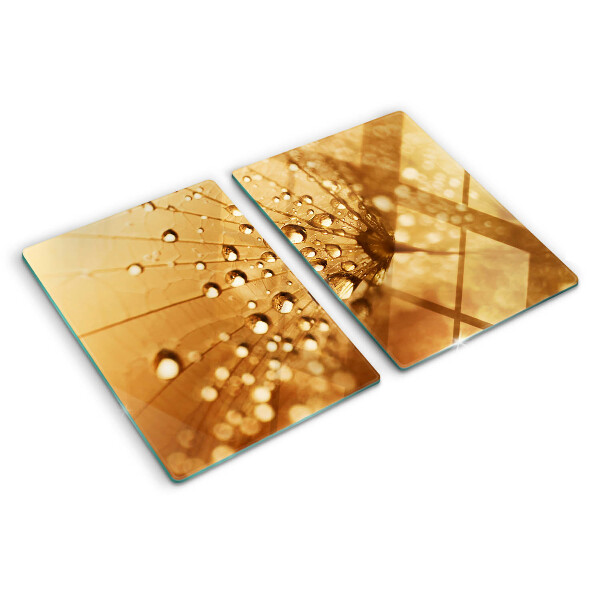 Glass cutting board Water drops on a dandelion