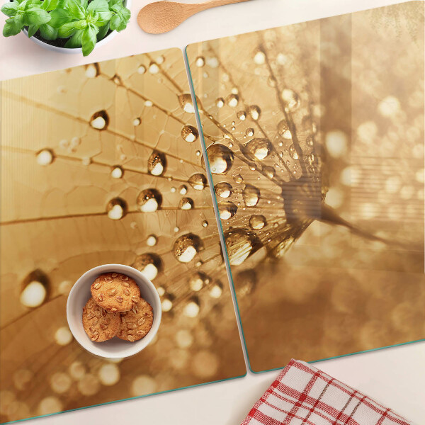 Glass cutting board Water drops on a dandelion