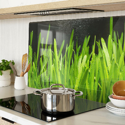 Chopping board glass Green grass with water drops