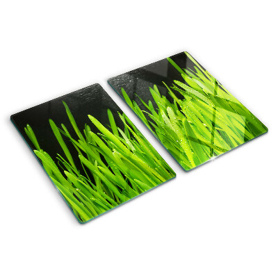 Chopping board glass Green grass with water drops