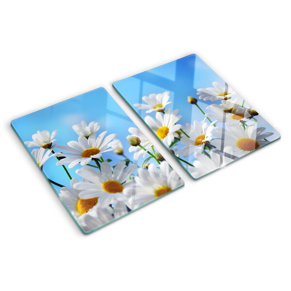 Glass chopping board Daisy flowers on a blue background