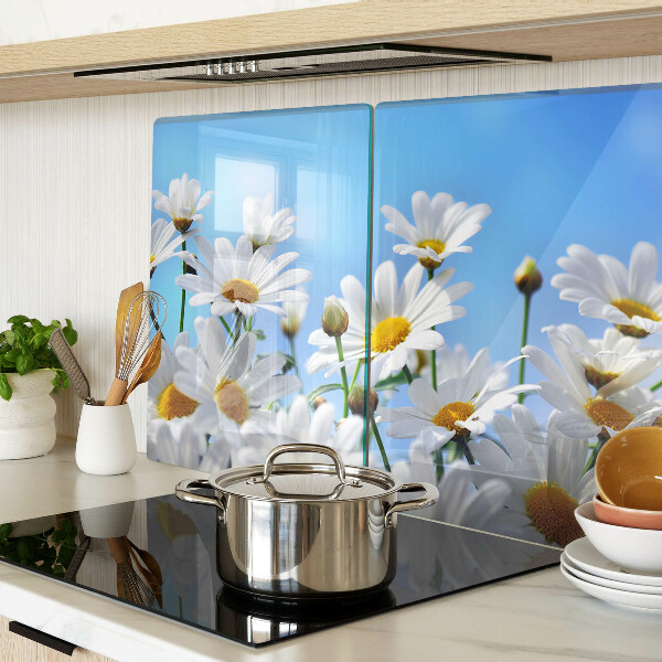 Glass chopping board Daisy flowers on a blue background