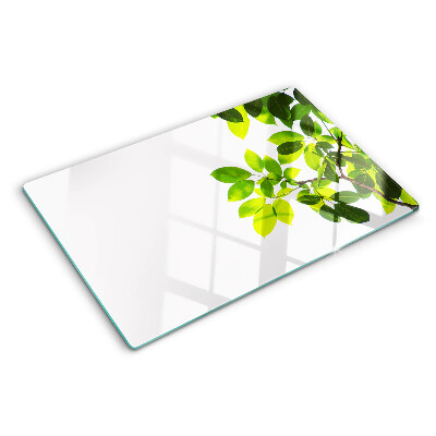 Cutting board Leaves against a bright sky