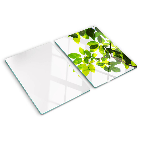 Cutting board Leaves against a bright sky
