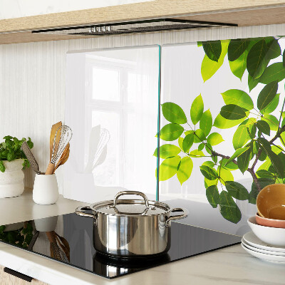 Cutting board Leaves against a bright sky