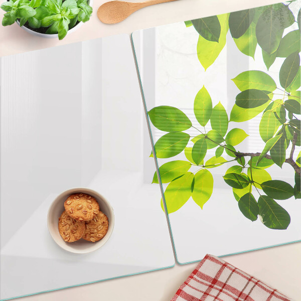 Cutting board Leaves against a bright sky