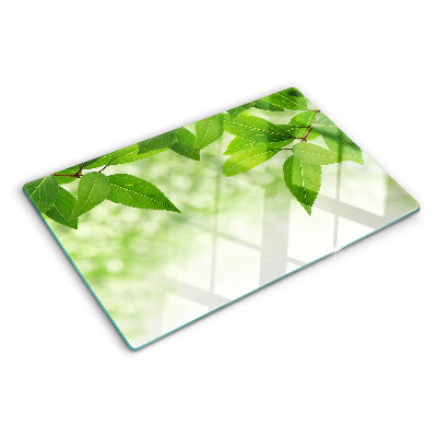 Chopping board glass Leaves against a background of blurred greenery