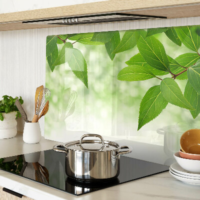 Chopping board glass Leaves against a background of blurred greenery
