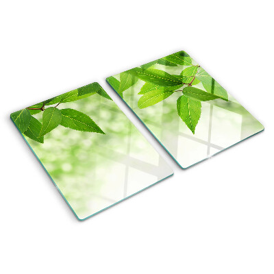 Chopping board glass Leaves against a background of blurred greenery