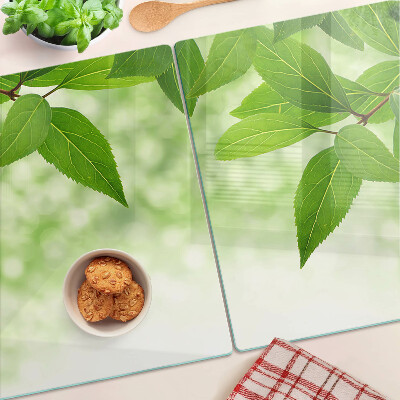 Chopping board glass Leaves against a background of blurred greenery