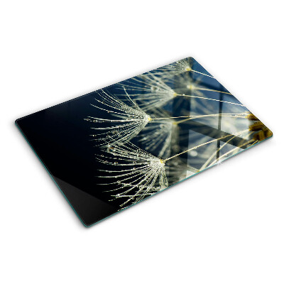 Glass kitchen board Dandelions with water drops